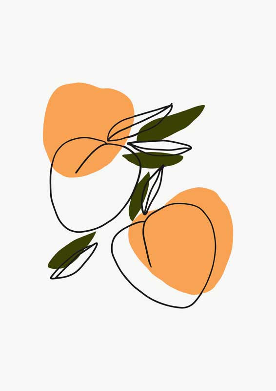 翁止熄痒苏钥第9章免费阅读
